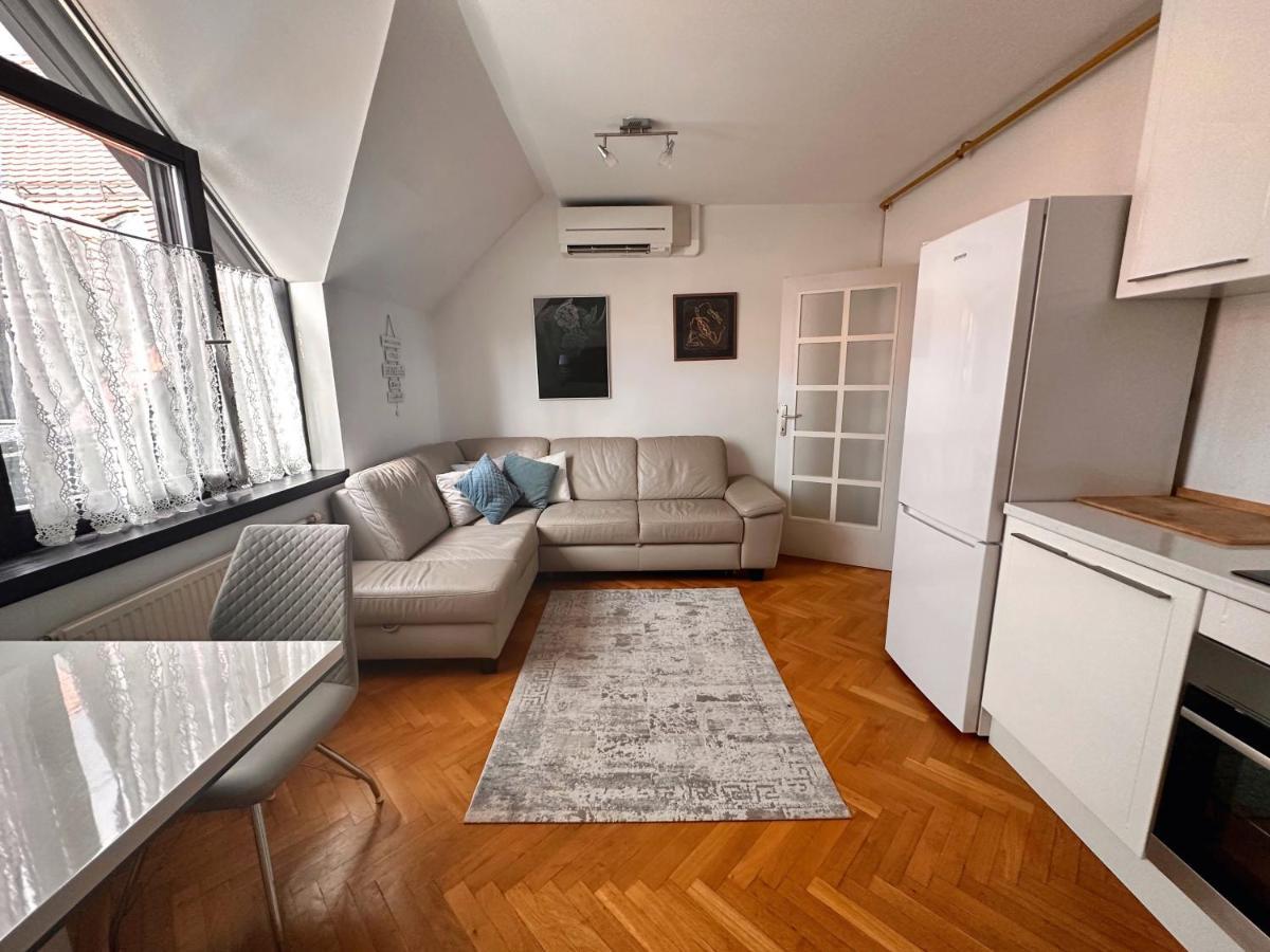 Charming City Loft Apartment Ljubljana Bagian luar foto